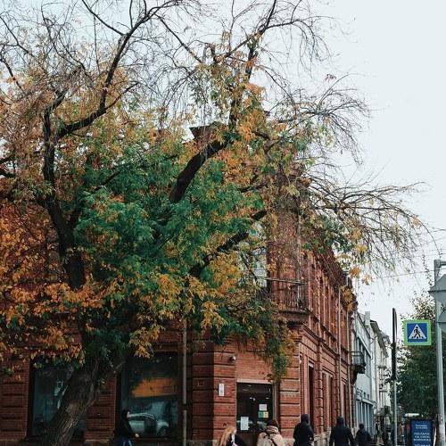 Осенний Новосибирск