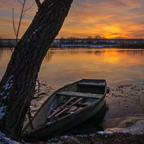 Лодка у дерева