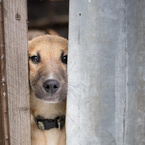 Photo #2882662