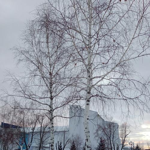 Photo #2882881