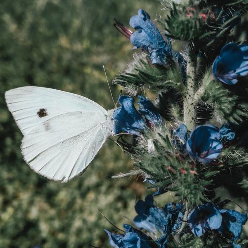 Photo #2883148