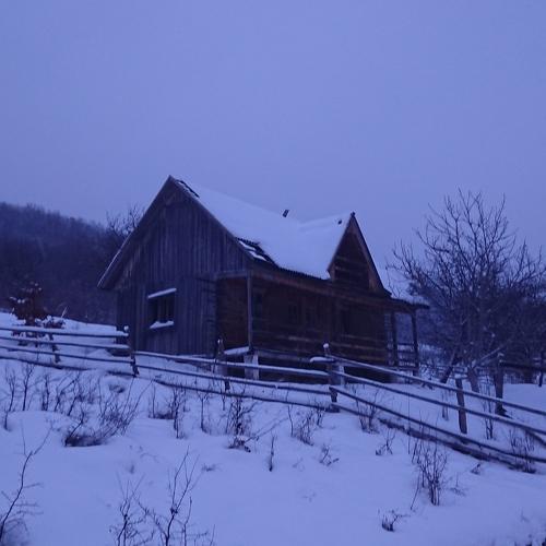 Cottage