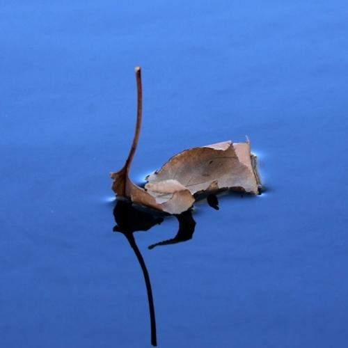 Photo #2885118