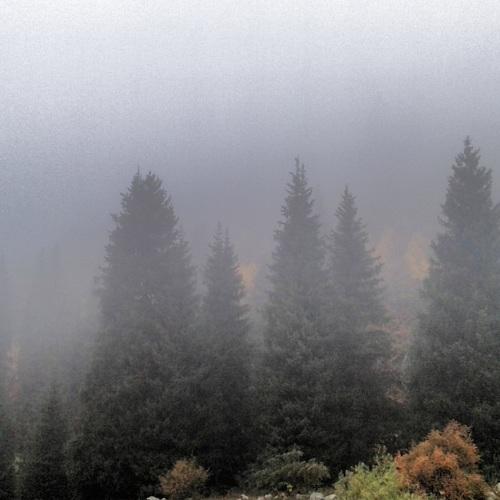 Photo #2886397