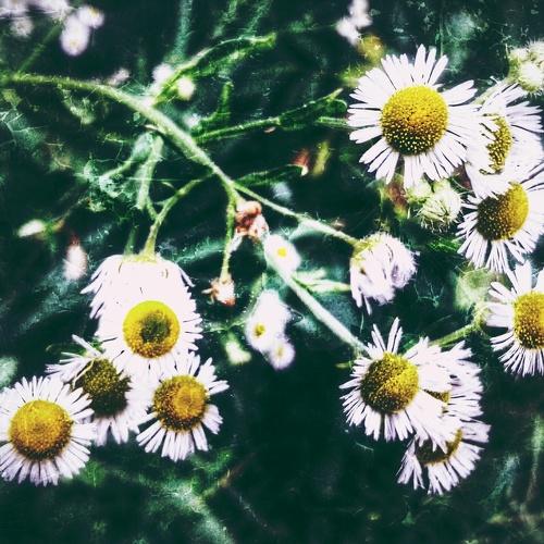 Photo #2886407