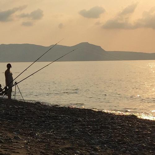 Photo #2887661