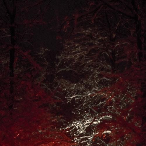 Photo #2888326