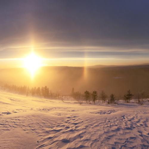 Photo #2889238