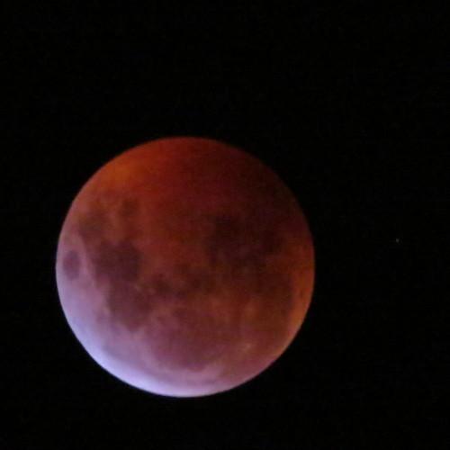 Luna roja de enero