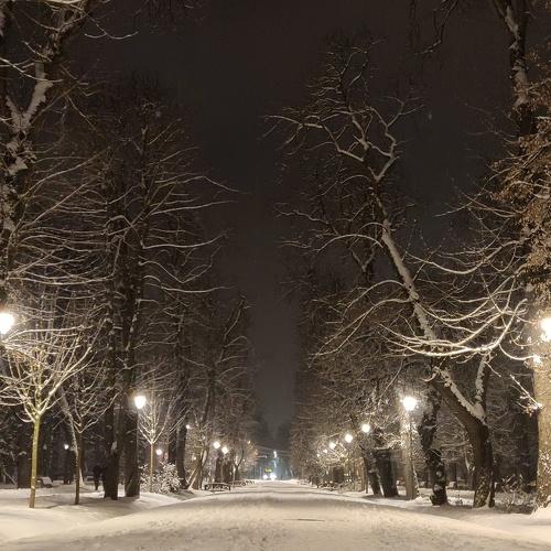 Winter
