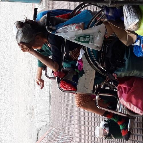 The Elderly in the midst of economic diversity