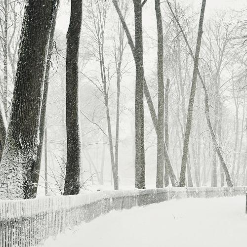 Photo #2893425