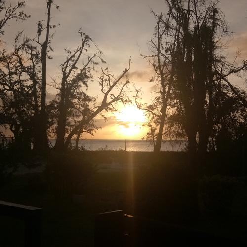 The Calm after the Storm