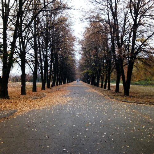 Photo #2893944