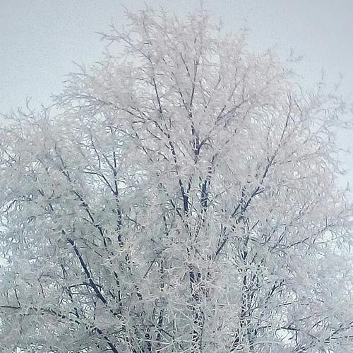 Зима-художница