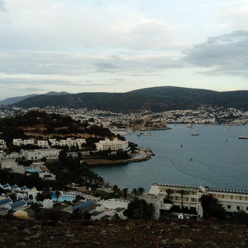 Photo #2894990