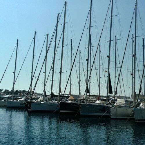 Photo #2894998