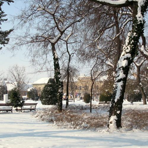 Winter in Sombor, Serbia