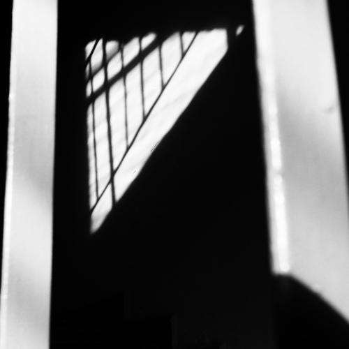 The shadows