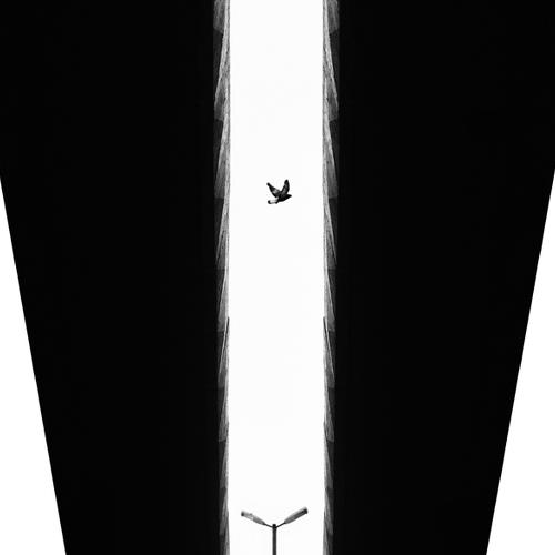 Black bridge