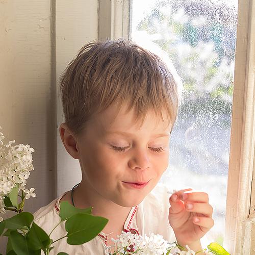Photo #2896864