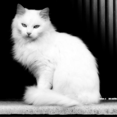 I”m beautiful