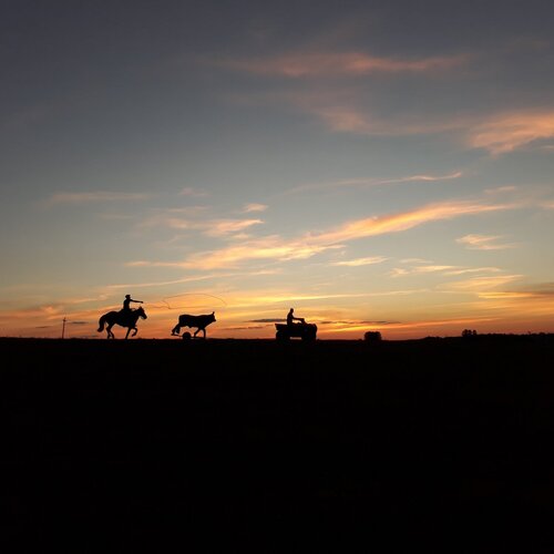 Photo #2898275
