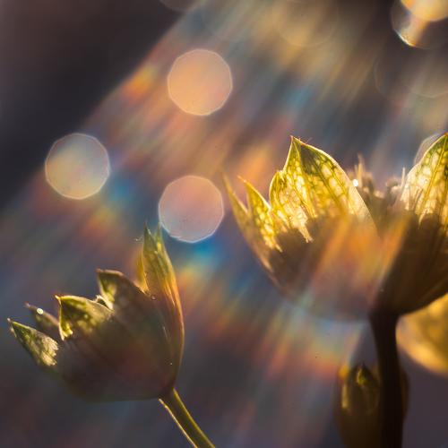 Photo #2898505