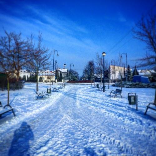 Photo #2898943