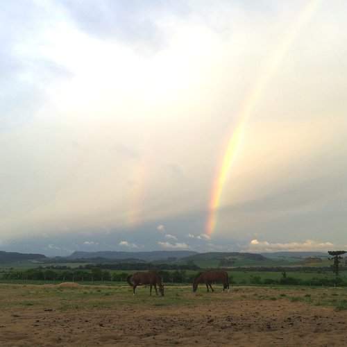 Double rainbow