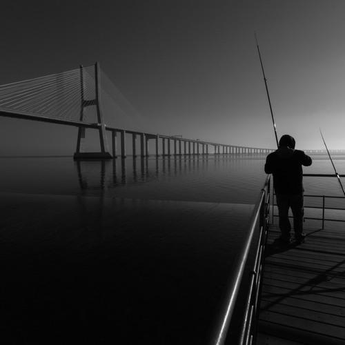 The solitary fisherman