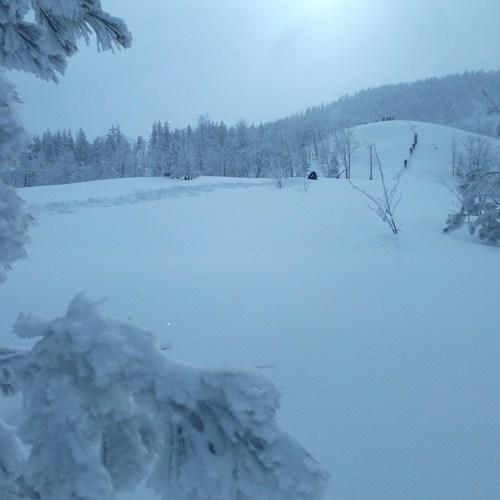 Photo #2899669