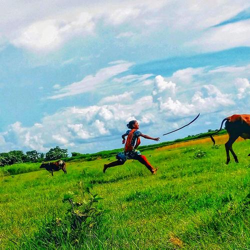 Winning the race