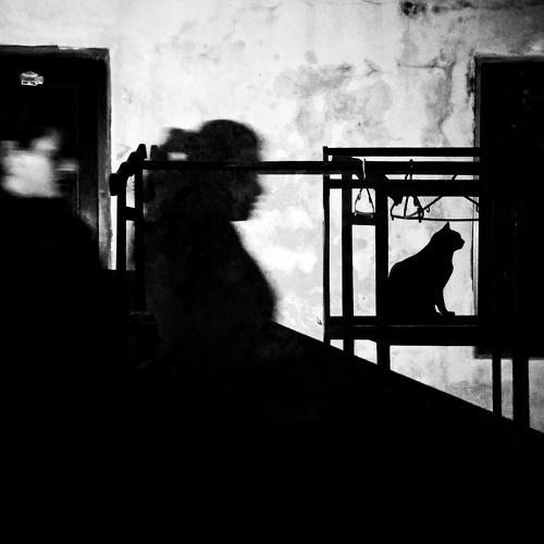Soul of shadow