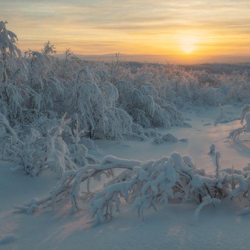 В первых лучах