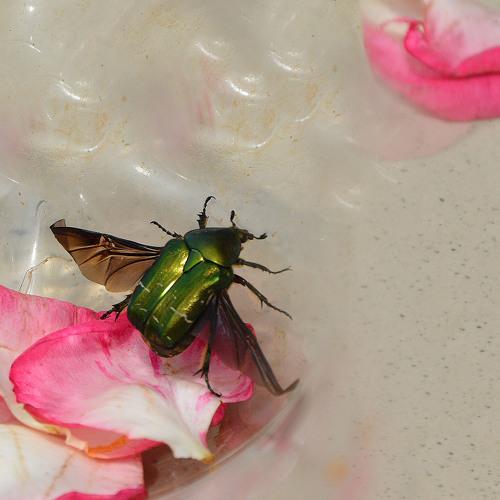 Photo #2901689