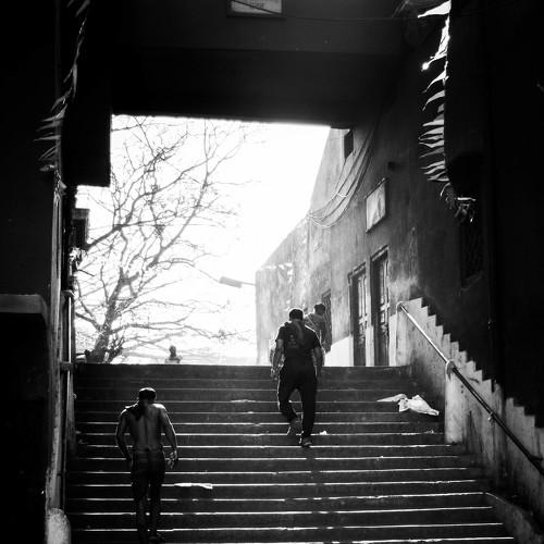 Shadows