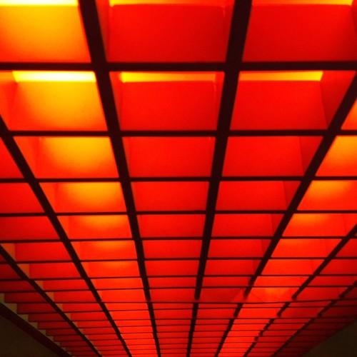 Photo #2902163