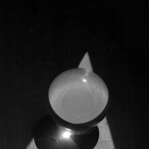 Photo #2902200