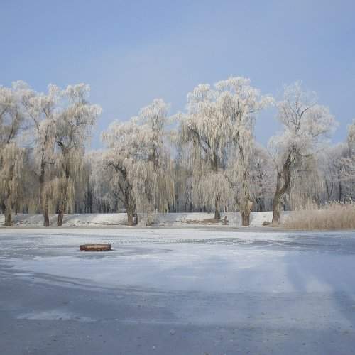 Photo #2902222