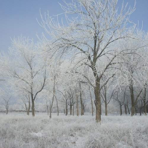 Photo #2902239