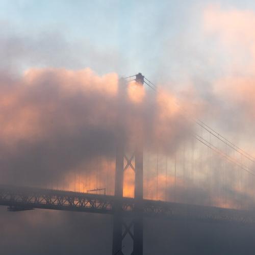 Fishing on a foggy morning