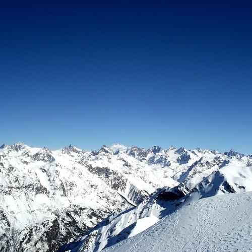 Photo #2902969