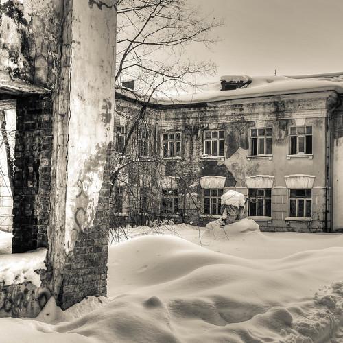 Lost beauty in snow