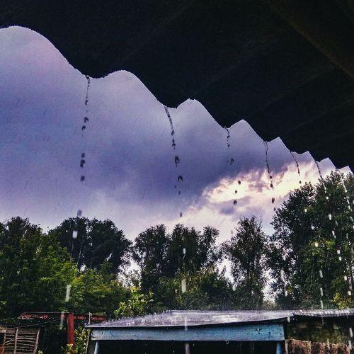 Photo #2906948