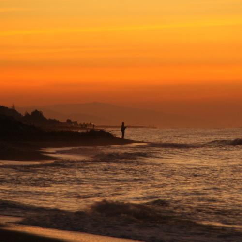 Photo #2907279