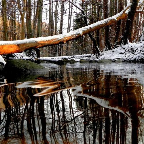 winter season on the river