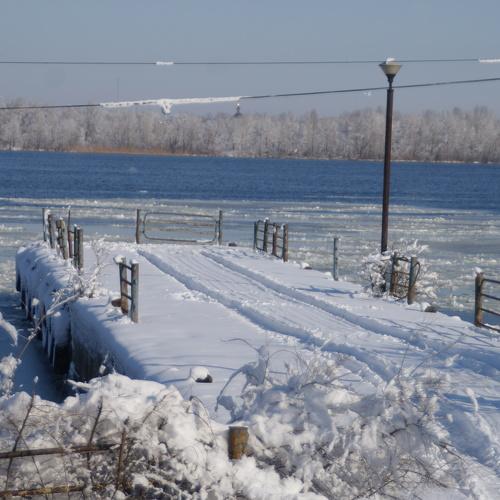 Photo #2908890