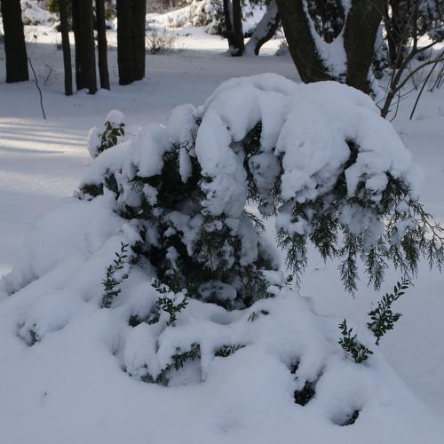 Photo #2908914