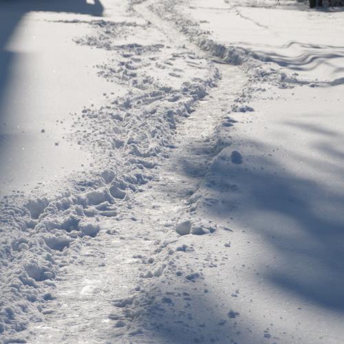 Photo #2908961